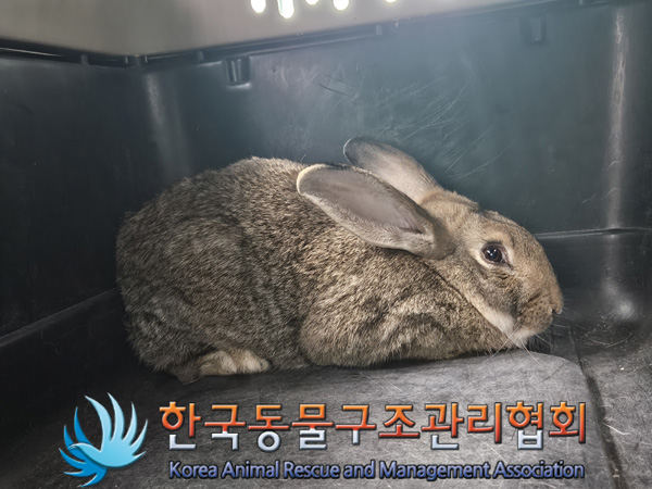 한국동물구조관리협회_441392202400303